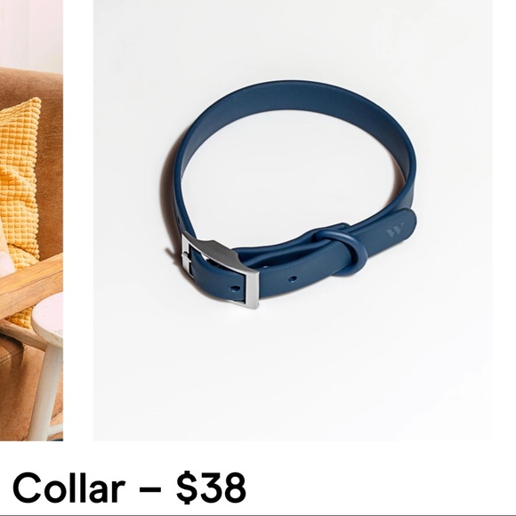 Wild One 🐶 harness walk set and collar - Picture 2 of 6